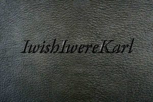 logo iwishiwerekarl